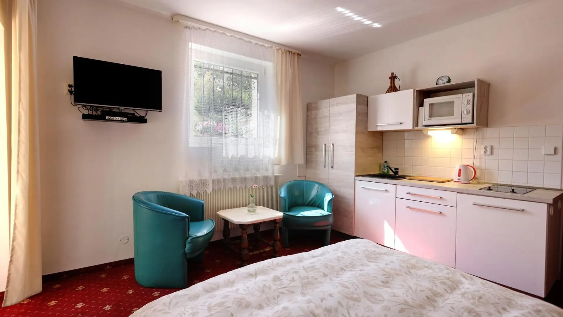 *** Affittacamere Hotel Ehila Karlovy Vary Repubblica Ceca